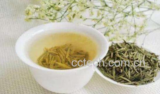 岳阳黄茶的功效与作用-1