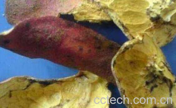  石榴皮煮水的6个功效 石榴皮煮水的好处-1