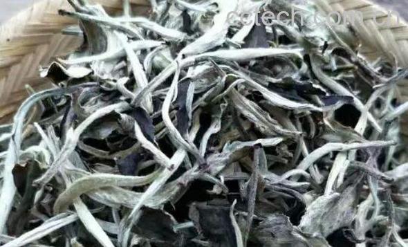 月光美人茶是什么茶 月光美人茶的泡法-1
