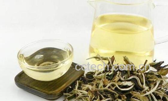 月光白茶怎么冲泡 月光白茶的正确泡法-0