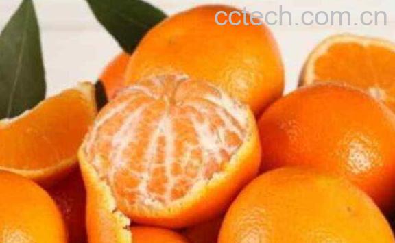 桔子的功效与作用有哪些-0