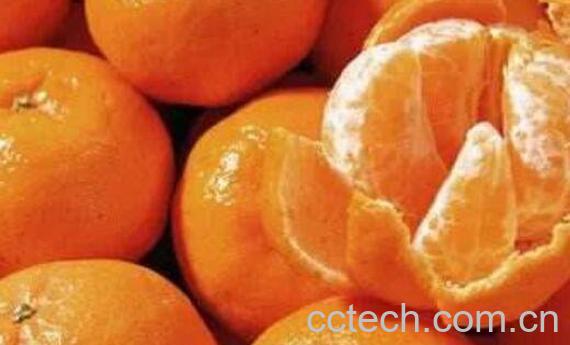 桔子的功效与作用有哪些-1