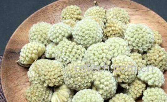 雪里花和绿萝花的区别 吃雪里花的好处-0