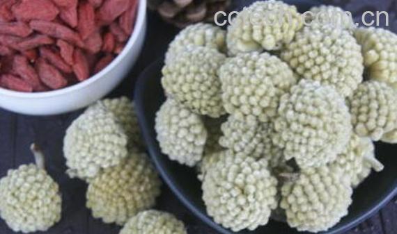 雪里花和绿萝花的区别 吃雪里花的好处-1