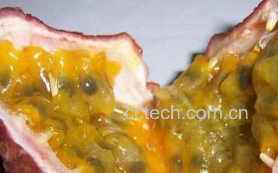 百香果的籽能吃吗 百香果籽的功效有哪些-0