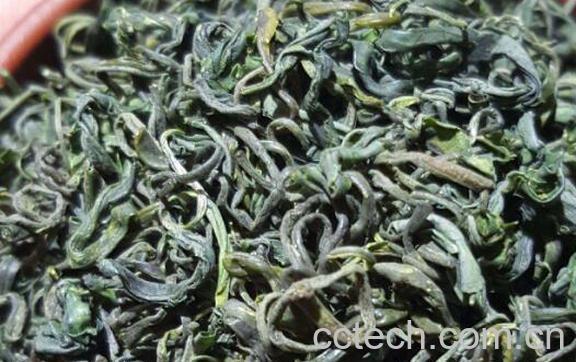 云雾绿茶的功效与作用及禁忌-1