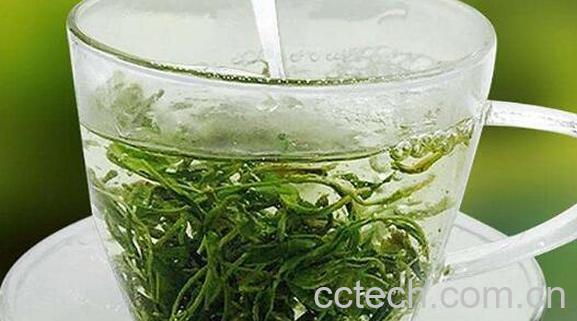 云雾绿茶的功效与作用及禁忌-0