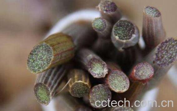 紫皮石斛怎么吃 紫皮石斛的吃法-1