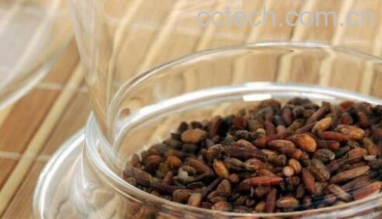 糙米茶可以天天喝吗 糙米茶什么人不能喝-0