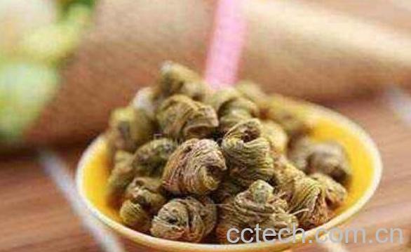 如何用铁皮石斛泡水 铁皮石斛泡水喝的注意事项-1