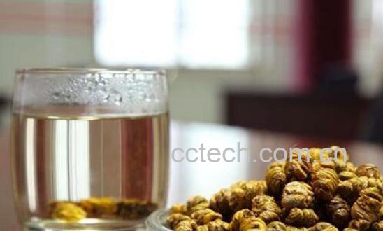 如何用铁皮石斛泡水 铁皮石斛泡水喝的注意事项-0