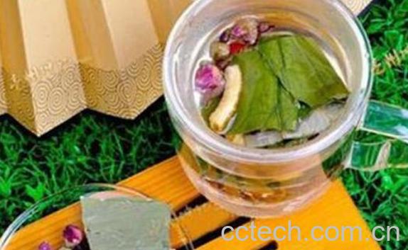 荷叶减肥茶的功效与作用及禁忌-1