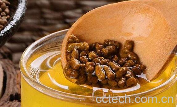 黑苦荞茶怎么喝 黑苦荞茶可以天天喝吗-0