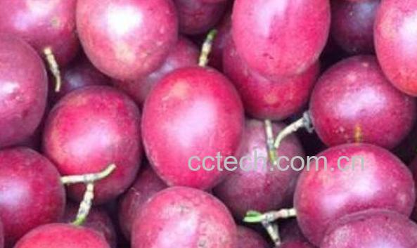 百香果如何保存 百香果怎么保存会更久-0