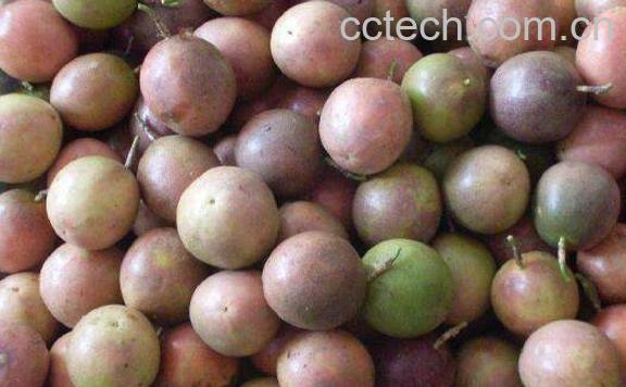 百香果如何保存 百香果怎么保存会更久-1