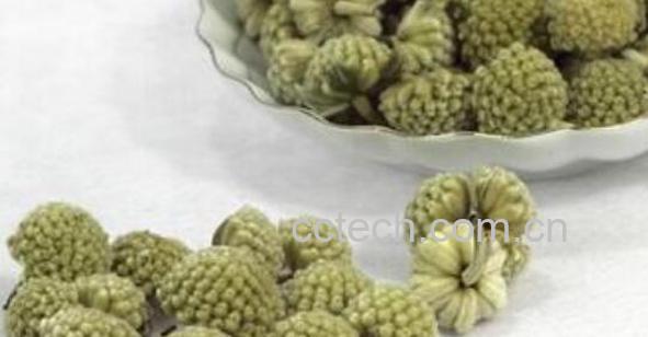 绿萝花茶的功效与作用 绿萝花茶哪些人不能喝-1