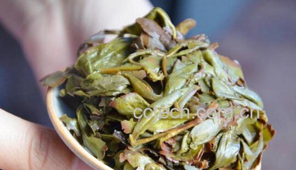 漳平水仙茶的功效与作用及禁忌-0