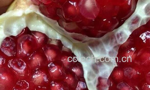 红石榴的功效与作用及禁忌-0