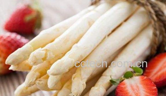 白芦笋茶的功效与作用-0