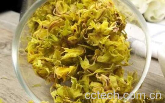 铁皮石斛花怎么吃 铁皮石斛花的食用方法-0