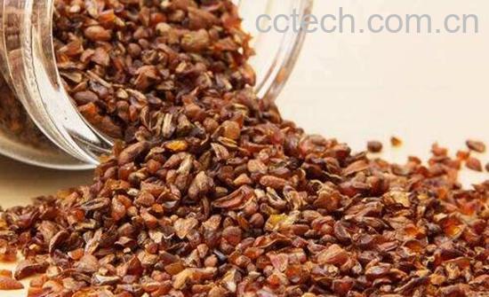 苦荞茶可以天天喝吗 苦荞茶的危害有哪些-0