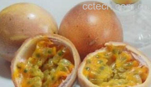 百香果不能与什么同食 百香果的食用禁忌-1