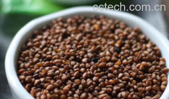 黑苦荞茶的功效与作用 黑苦荞茶的食用方法-0