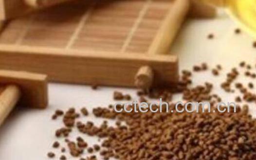 黑苦荞茶的功效与作用 黑苦荞茶的食用方法-1