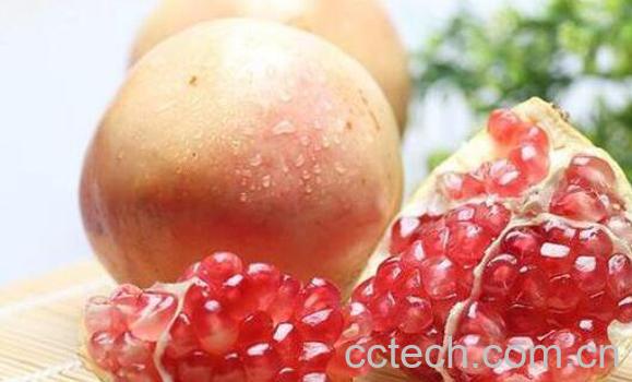 孕妇能吃石榴吗 孕妇吃石榴的好处和坏处-1