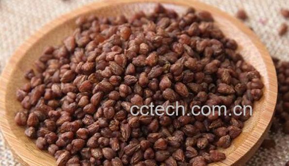 女人喝黑苦荞茶的好处 女人喝苦荞茶的坏处-0