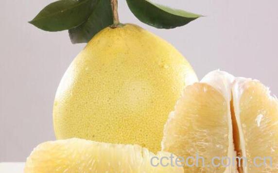 孕妇能吃柚子吗 孕妇吃柚子的好处和坏处-0