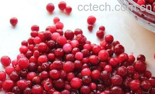 越橘果的功效与作用-0