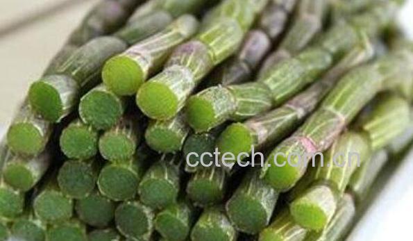 鲜石斛的功效与作用-1