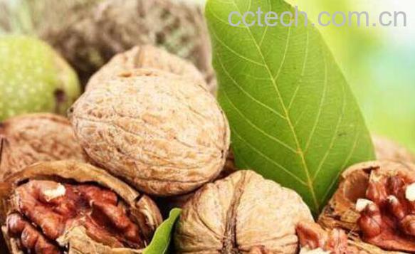 吃核桃有什么好处 吃核桃的好处与功效-0