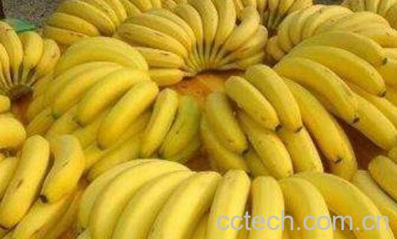 吃香蕉有什么好处 吃香蕉的好处与坏处-0