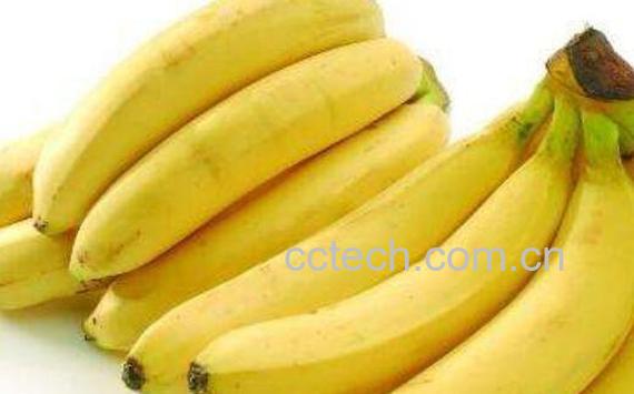 吃香蕉有什么好处 吃香蕉的好处与坏处-1