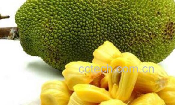 菠萝蜜怎么吃图解 菠萝蜜的正确吃法-1