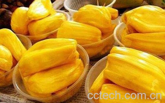 菠萝蜜哪些部位可以吃 吃菠萝蜜有什么禁忌-0