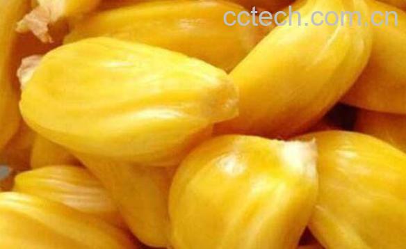 菠萝蜜哪些部位可以吃 吃菠萝蜜有什么禁忌-1