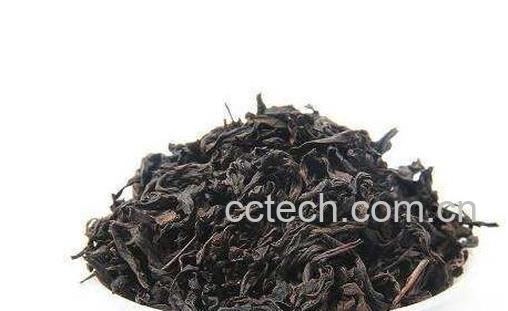 肉桂香单枞的功效与作用-0