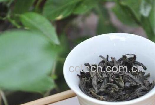 肉桂岩茶与凤凰单枞的区别 凤凰单枞的功效-1