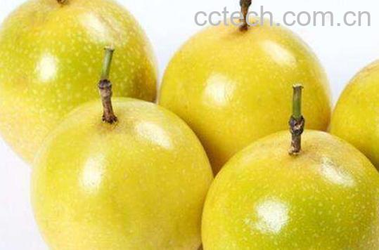 黄金百香果怎么吃 吃黄金百香果的好处-0