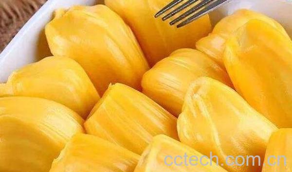 菠萝蜜过敏什么症状 吃菠萝蜜过敏怎么办-1