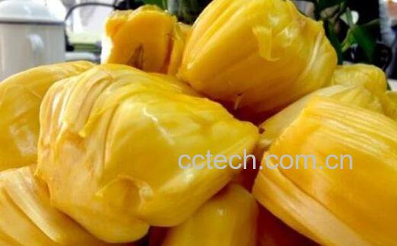 菠萝蜜过敏什么症状 吃菠萝蜜过敏怎么办-0