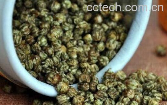 珍珠菊花茶的功效与作用及禁忌-1