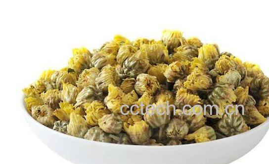 珍珠菊花茶的功效与作用及禁忌-0