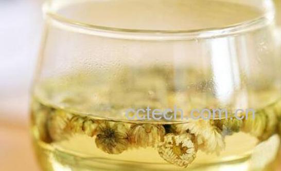 珍珠菊的功效与禁忌-1