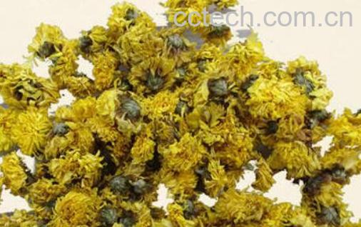 怀珍珠菊的功效与作用及禁忌-1