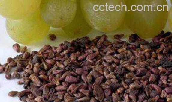 石榴籽和葡萄籽的区别 石榴籽和葡萄籽哪个好-1