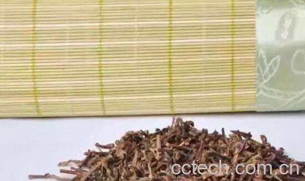 茶叶枕头的功效与危害-0